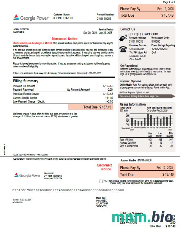 USA Georgia Power template w formatach Word i PDF, Wersja 2